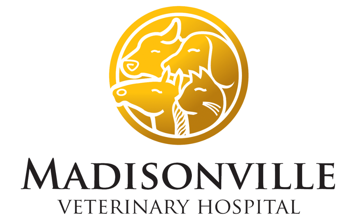 Madisonville Veterinary Hospital